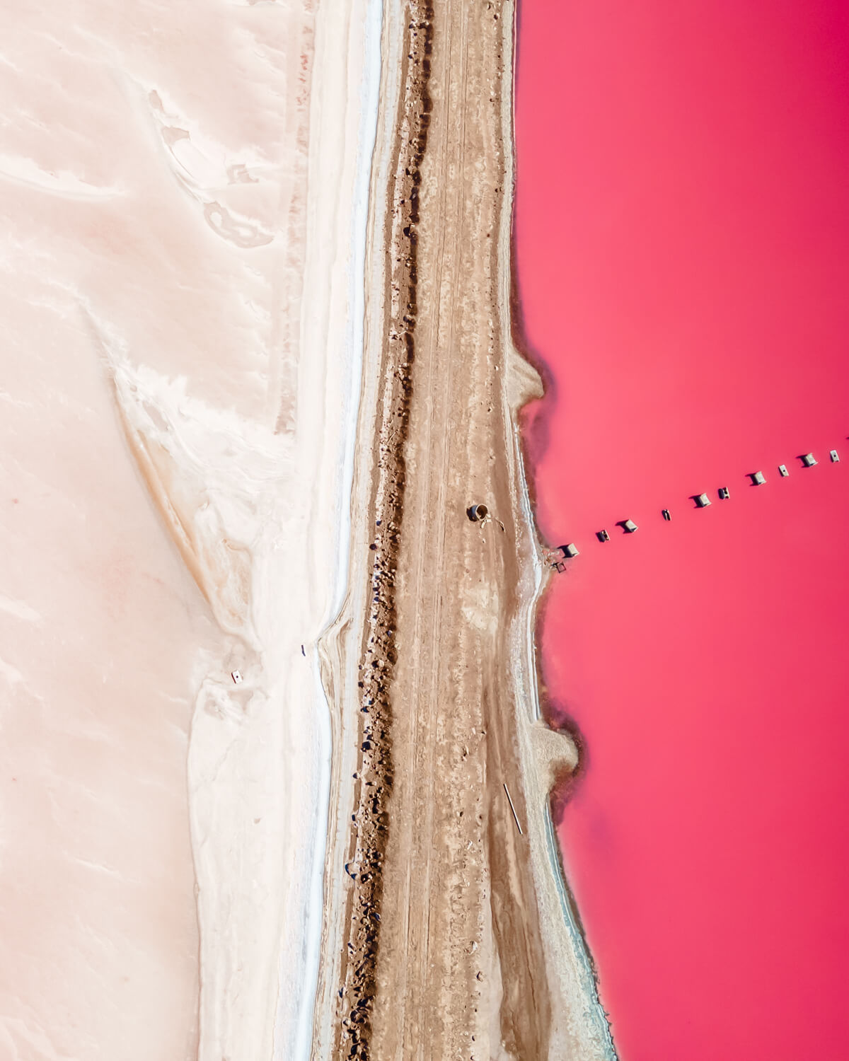 Aerial photo of Hutt Lagoon, the pink lake in Western Australia, featuring vivid pink water and a sandy pathway.